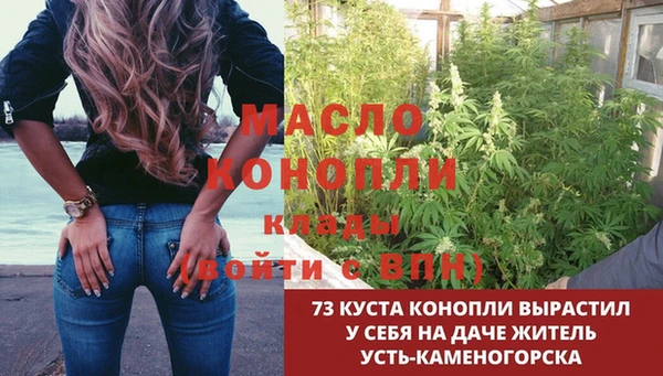 ешки Мегион
