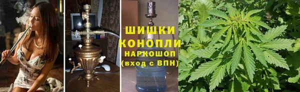 ECSTASY Медногорск