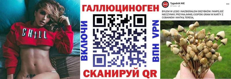 маркетплейс официальный сайт  Каневская  Псилоцибиновые грибы Psilocybe 
